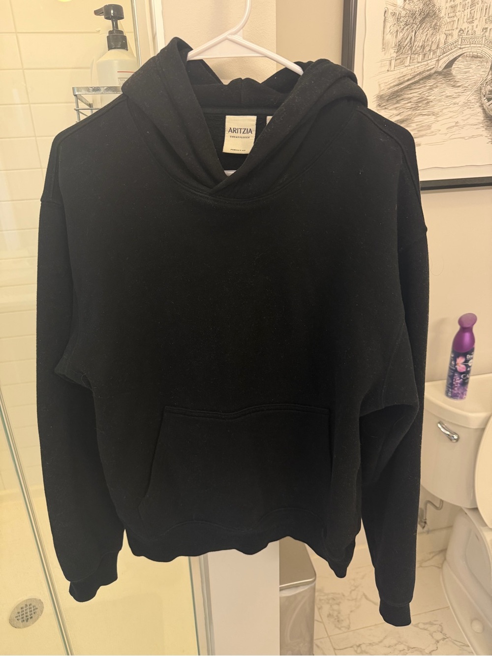 Aritzia sweatfleece hoodie and sweats